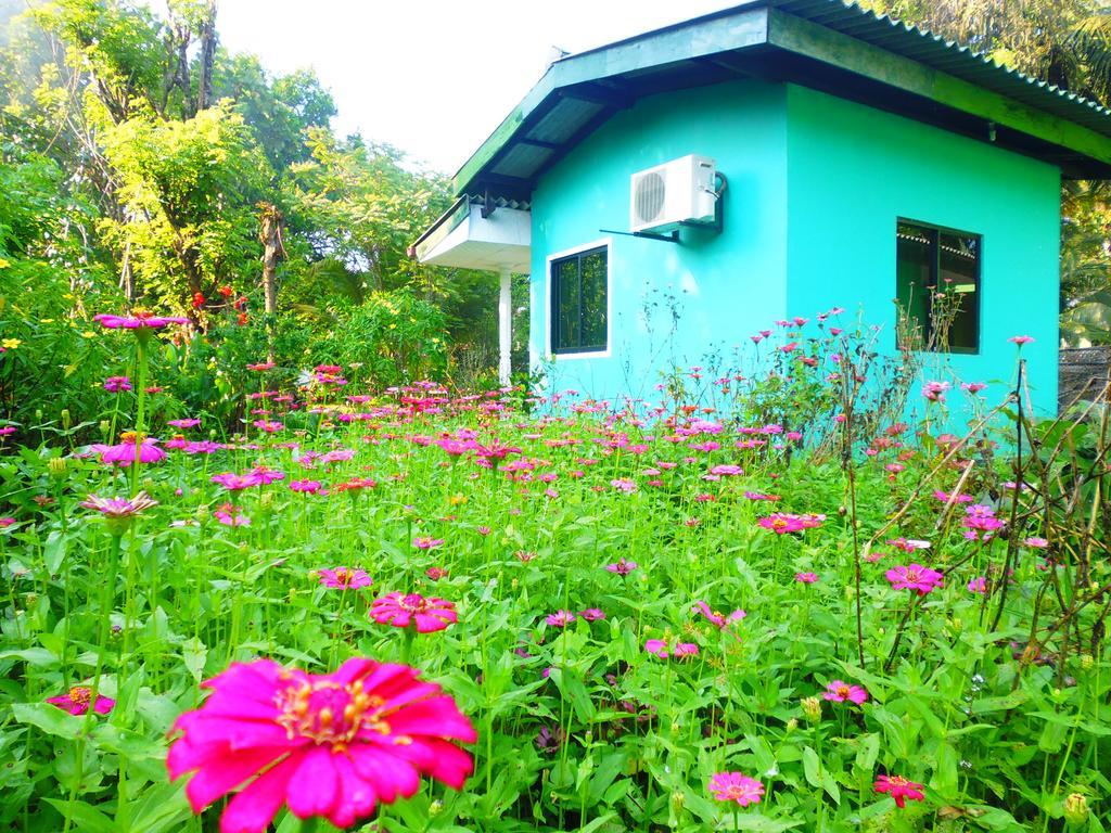 The Nilmini Lodge