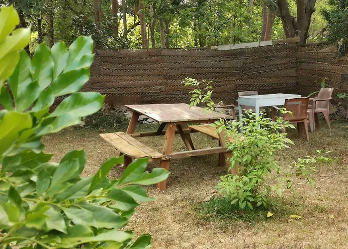 The Nilmini Lodge