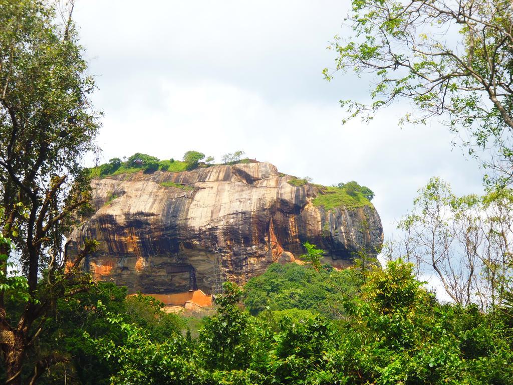 The Nilmini Lodge Sigiriya